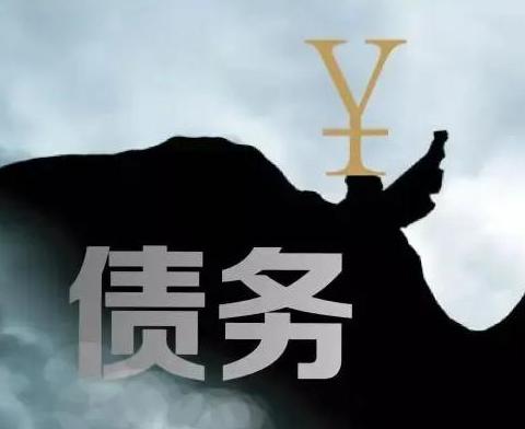 什么是债务优化，荷泽牡丹债务优化有什么效果？
